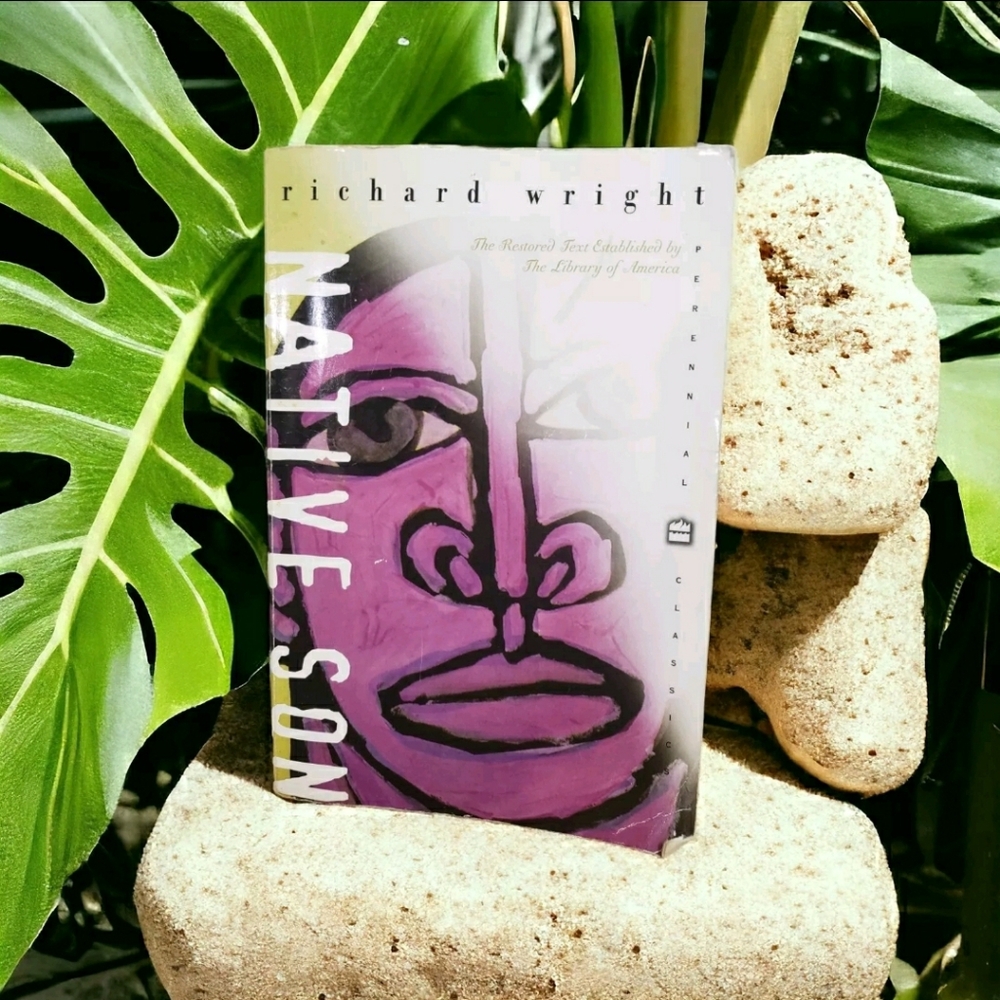 Native Son by Richard Wright (2004, Trade Paperback) Historical Fiction Book